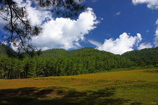 數碼設計與攝影社區的交融 開啟視覺創作新紀元